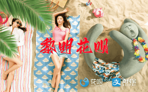 一目了然花呗